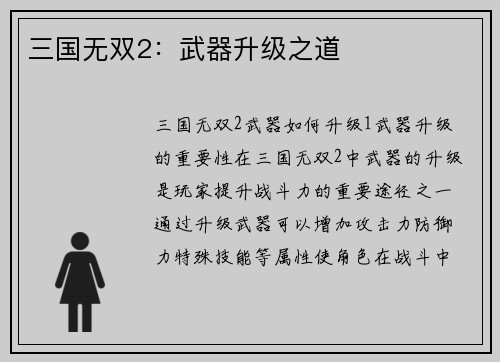 三国无双2：武器升级之道